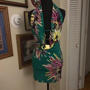 Baby Phat Green and Pink Backless Dress